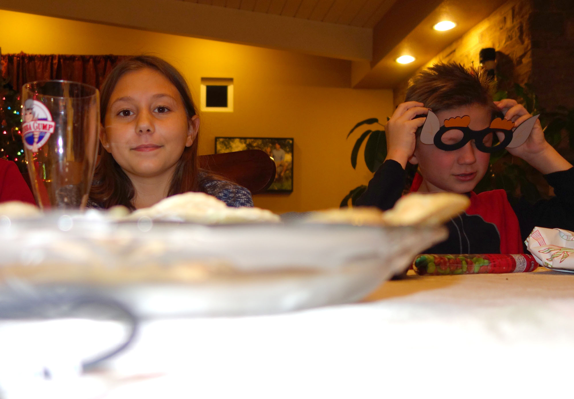 Christmas 2015 Shelley (7)